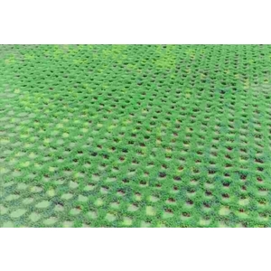 場鑄植草地坪施工