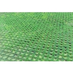 場鑄植草地坪施工 - 中華昇揚有限公司