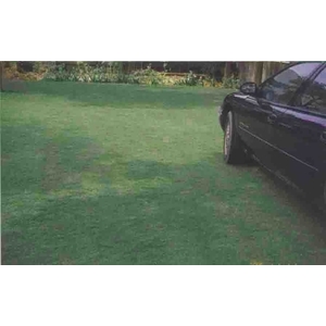 場鑄植草地坪施工