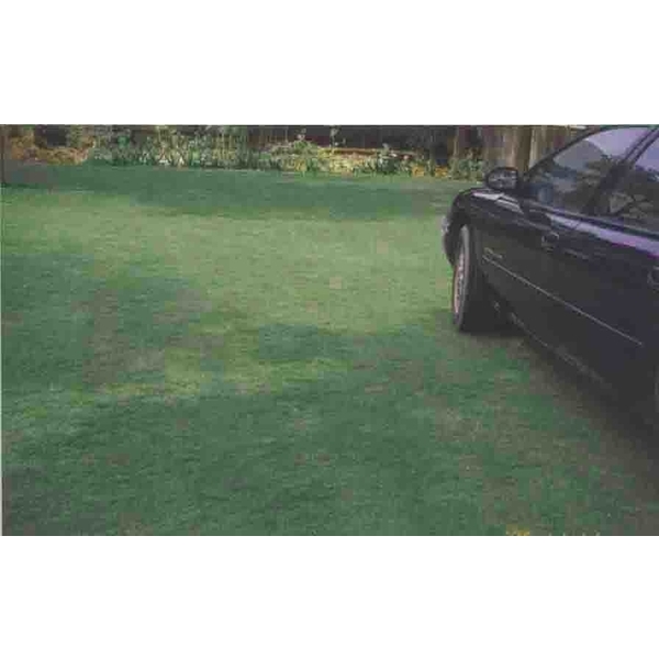 場鑄植草地坪施工,中華昇揚有限公司