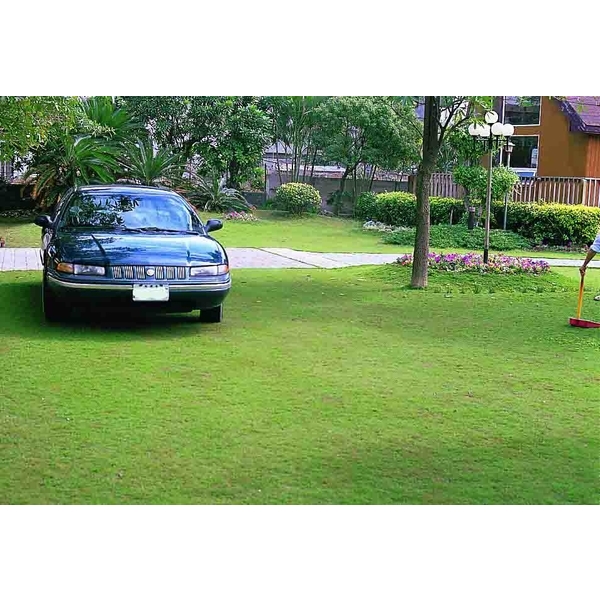 場鑄植草地坪施工,中華昇揚有限公司