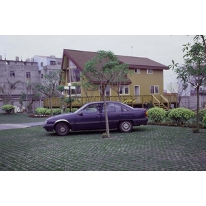 場鑄植草地坪施工