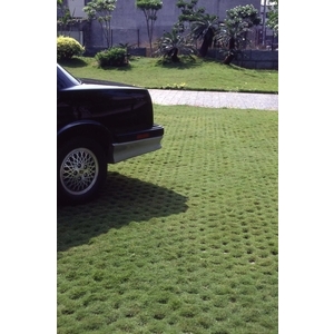 場鑄植草地坪施工