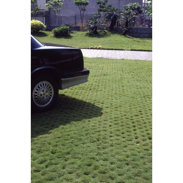 場鑄植草地坪施工,中華昇揚有限公司