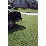 場鑄植草地坪施工 - 中華昇揚有限公司