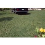 場鑄植草地坪施工 - 中華昇揚有限公司