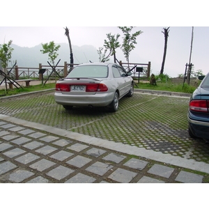 場鑄植草地坪施工