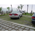 場鑄植草地坪施工 - 中華昇揚有限公司