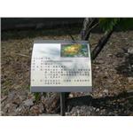 內埔農工-插地式花卉牌 - 九佰廣告社