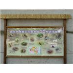 內埔農工-解說牌 - 九佰廣告社