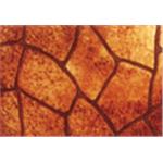 紙模鏤花地坪,仕峰建材實業有限公司