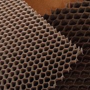 一般紙蜂巢 , 朝強生技股份有限公司