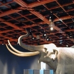 台灣史前博物館天花板會館工程 - 東齊金屬工業股份有限公司