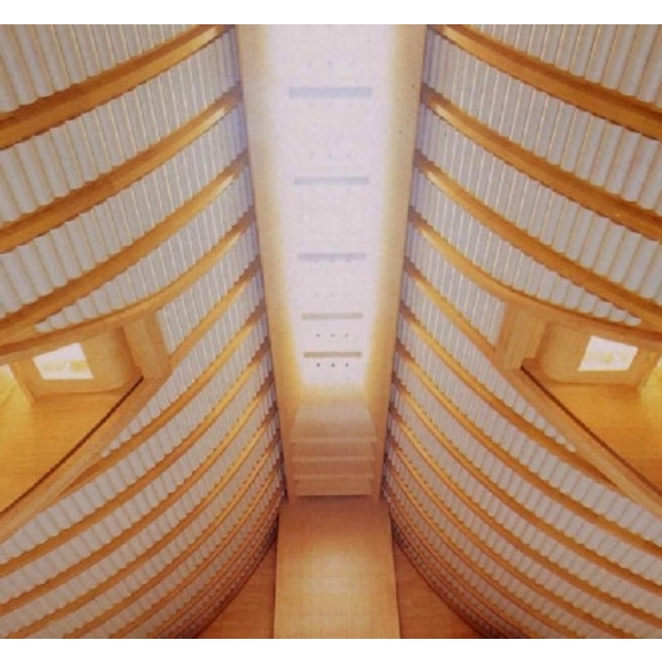 體育館圓弧長條天花工程,東齊金屬工業股份有限公司