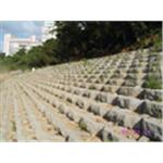 台北木柵景美溪護坡工程 - 震偉股份有限公司