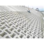 舊濁水溪護岸植生工程 - 震偉股份有限公司