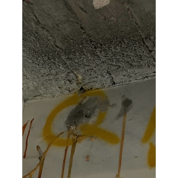 天花板抓漏灌注補強-東昌防水企業公司