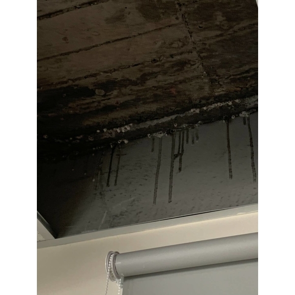 天花板抓漏灌注補強-東昌防水企業公司