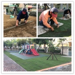 草皮種植-品誠建材工程行