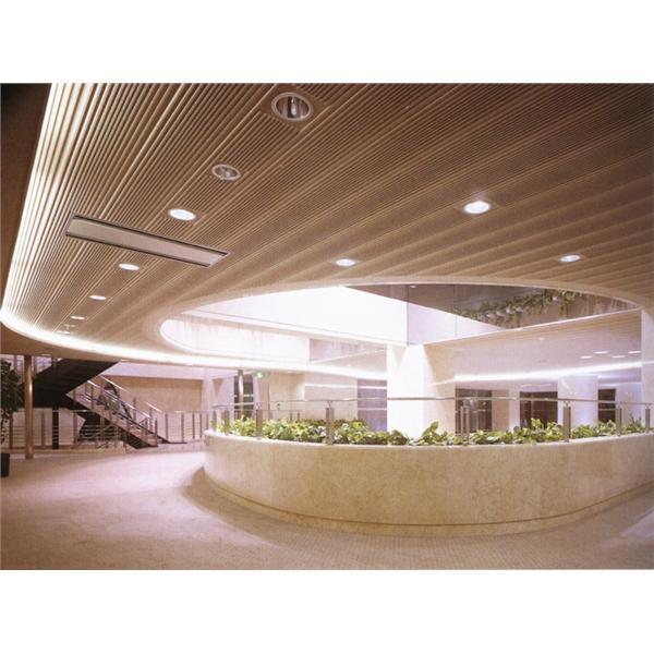 5樓首長決策室天花板