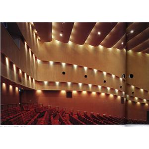 階梯造型吸音天花板