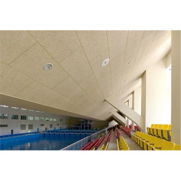 台北體育學院天母校區綜合體育館,良冠企業股份有限公司