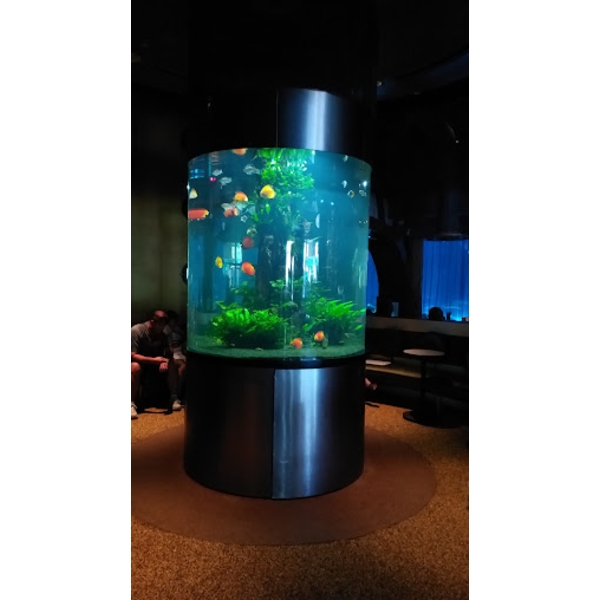 魚缸 魚缸-上野水太極國際有限公司