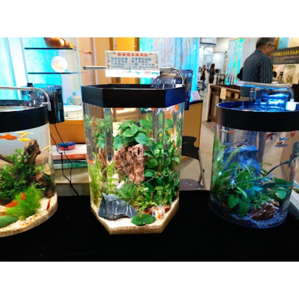 魚缸 魚缸-上野水太極國際有限公司
