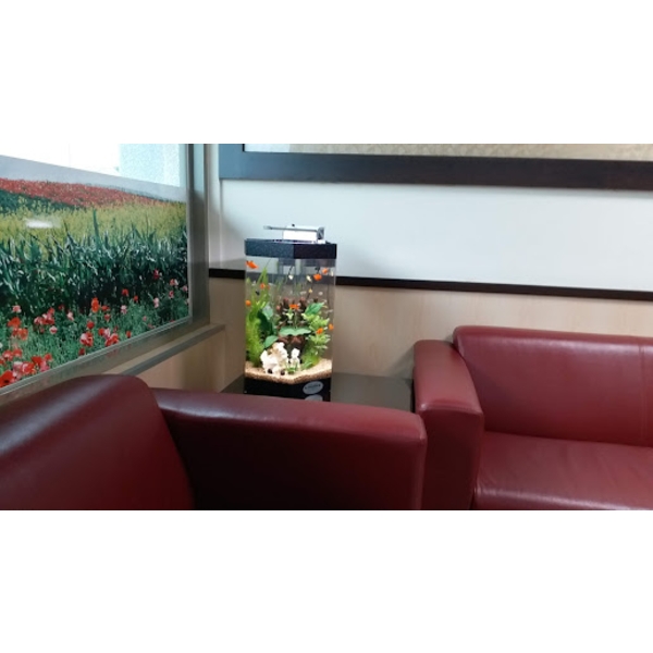 魚缸 魚缸-上野水太極國際有限公司