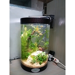 魚缸 - 上野水太極國際有限公司