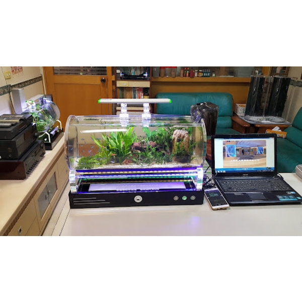 魚缸 魚缸-上野水太極國際有限公司