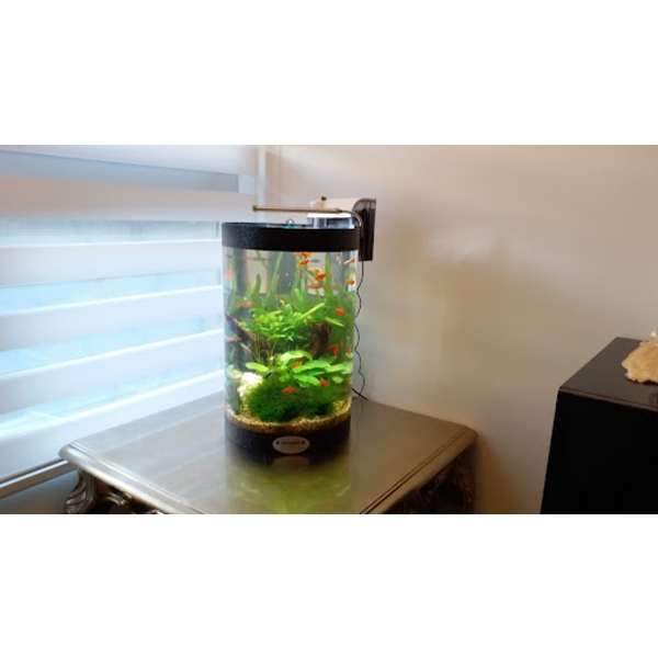 魚缸 魚缸-上野水太極國際有限公司