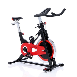 強生CS-3001飛輪有氧健身車,百麗運動用品有限公司