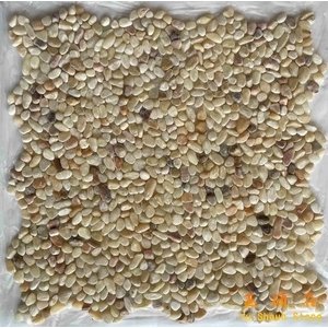義大利玉網才