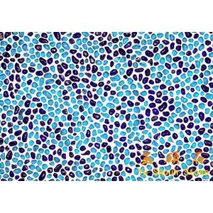 琉璃網才 , 上豪石材加工廠