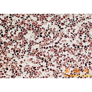 琉璃網才 , 上豪石材加工廠