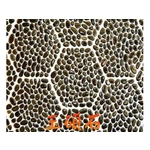 特殊網才 , 上豪石材加工廠