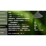 緻密矽灰土-三林貿易有限公司