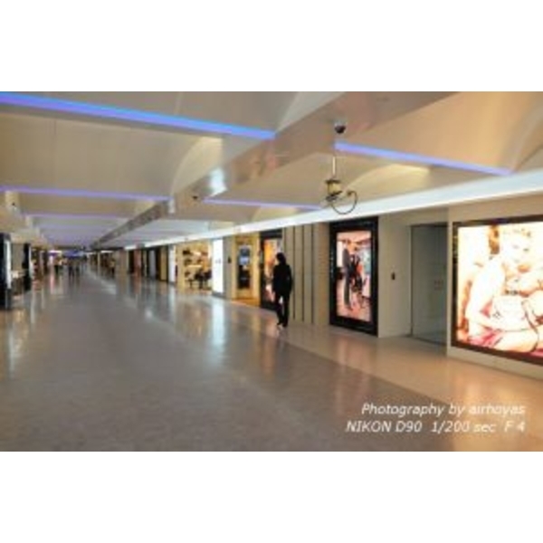 桃園航空城(外牆塗裝)