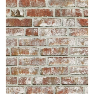 德國壁磚 , 三本貿易有限公司