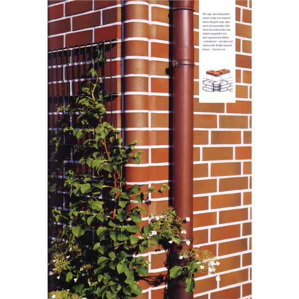 德國進口壁磚安裝實例 (5)