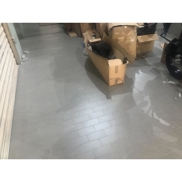 德國地磚完成圖