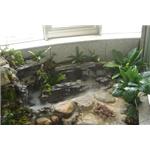 室內景觀造景 - 移山景觀有限公司