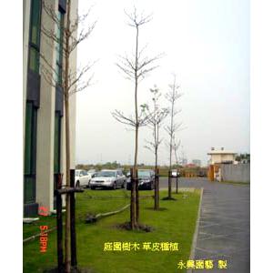 庭園樹木草皮種植