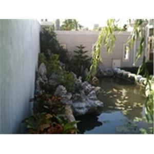 假山水池
