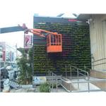 綠牆施工 - 永興園藝有限公司