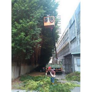 定期及不定期維護修剪