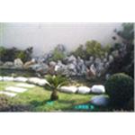 園藝造景 - 永興園藝有限公司