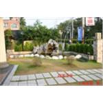 園藝造景 - 永興園藝有限公司