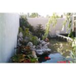 園藝造景 - 永興園藝有限公司